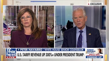 Peter Navarro touts Trump's 'Goldilocks' economy citing low inflation, job growth