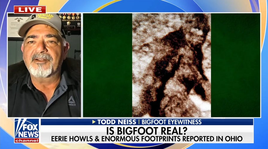 Bigfoot eyewitness Todd Neiss on mysterious beast sightings in Ohio