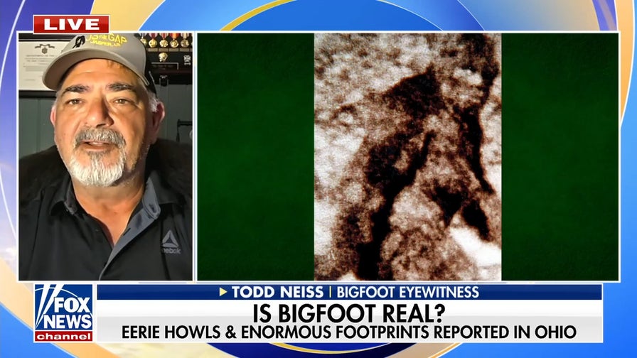 Bigfoot eyewitness Todd Neiss on mysterious beast sightings in Ohio