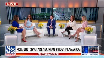 US patriotism is depleting because of 'weaponized' government: Joe Concha