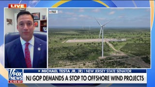 New Jersey lawmakers pushing to pause wind farm projects due to spike in whale deaths - Fox News
