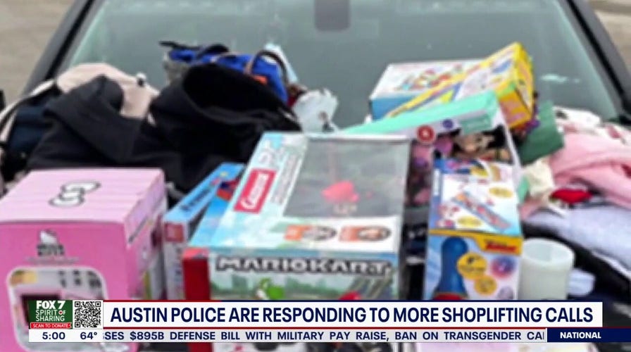 Texas police arrest 9 suspects allegedly involved in 4 shoplifting cases near suburban mall 
