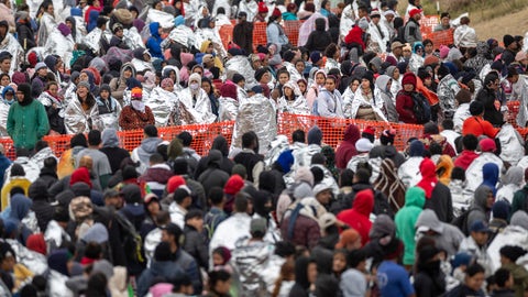 WATCH LIVE: Senate hearing examines Trump's mass deportations plan - Fox News