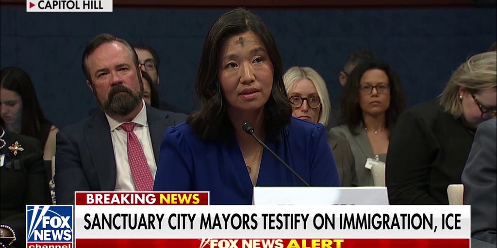 Sanctuary city mayors grilled on handling of illegal migrants in heated hearing