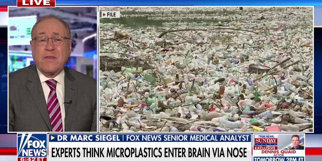 Study finds microplastics in the human brain