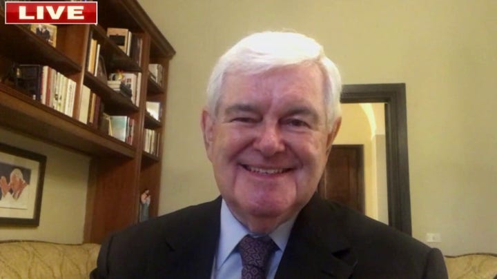 'The Democrats are running two big gambles': Gingrich