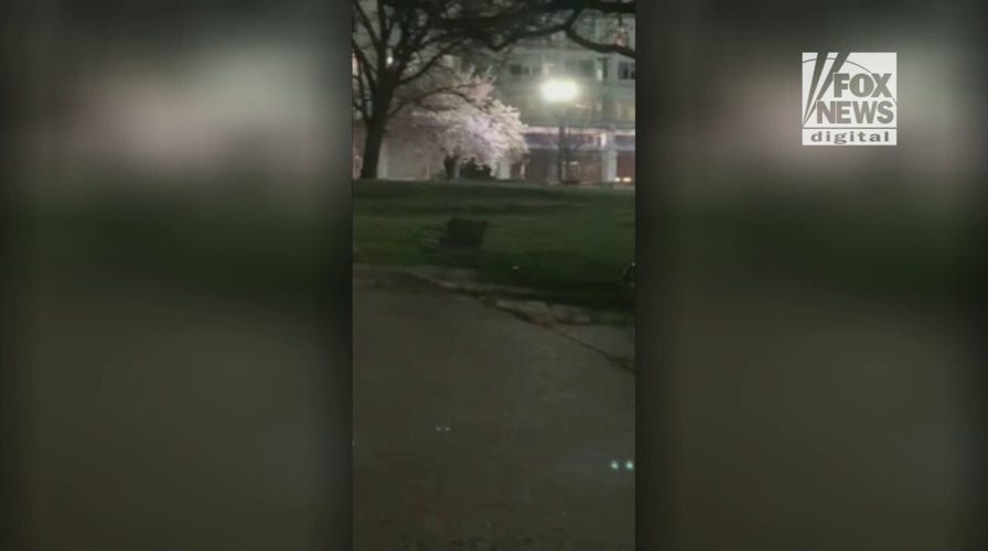 Fox high-tails it across Capitol grounds