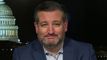 Sen. Ted Cruz: Don't boycott China Olympics – US tried this before and here's who was hurt the most