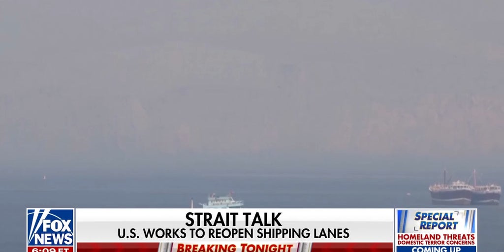 Democrats question Trump's decision to strike Iran