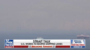 Democrats question Trump's decision to strike Iran