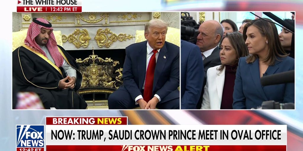Trump scolds ABC News reporter's questions to Saudi crown prince