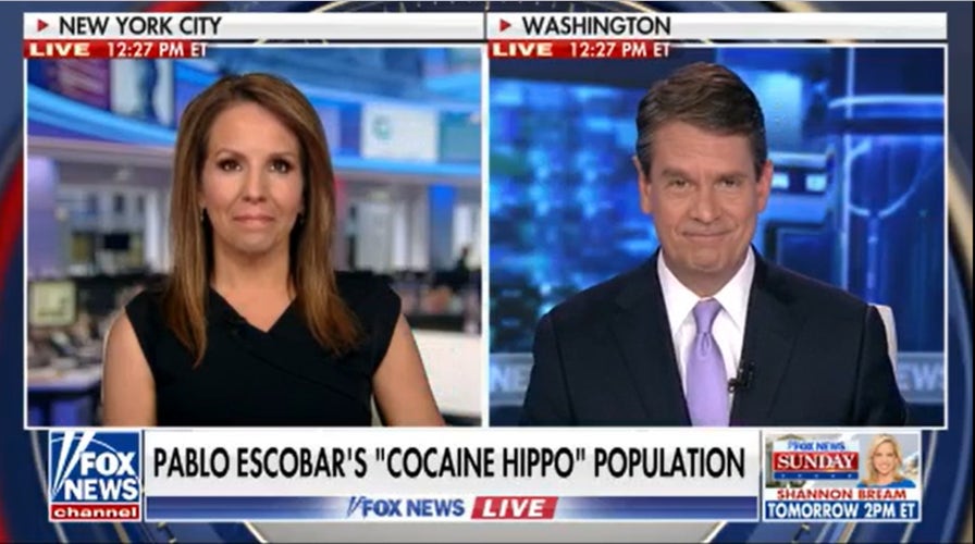 Fox Nation takes a deep dive into Pablo Escobar’s ‘cocaine hippo’ population in new special