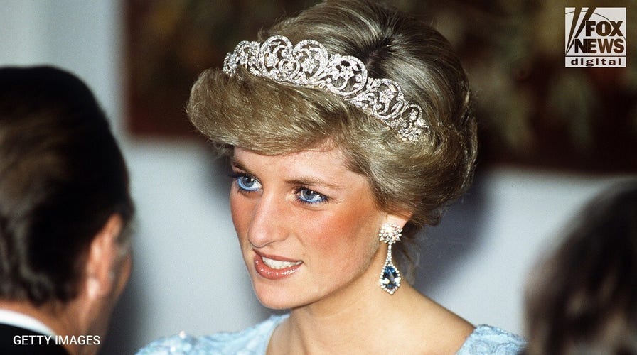 Princess Diana found unexpected political ally during marriage crisis: book