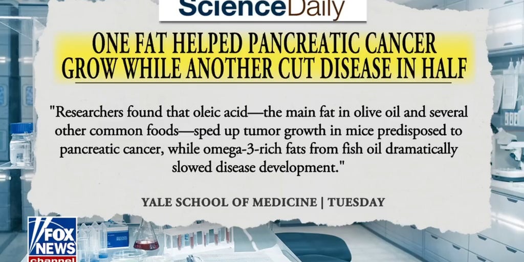 Study reveals main fat in olive oil could help grow pancreatic cancer