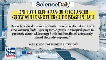 Study reveals main fat in olive oil could help grow pancreatic cancer