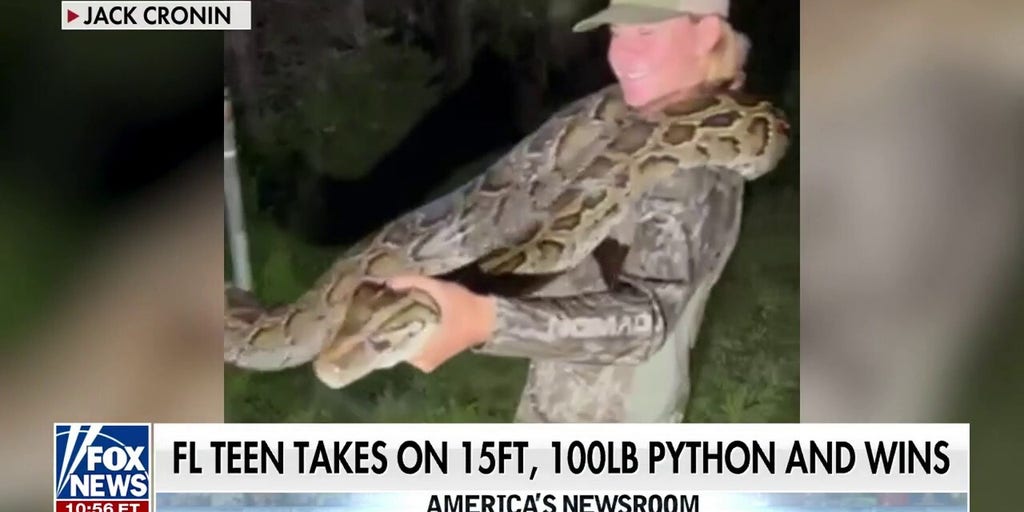 Florida teen wrangles 100 pound python: ‘A true beast’ | Fox News Video