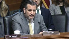 Senate panel hosts emotional hearing over 'abortion survivors' bill