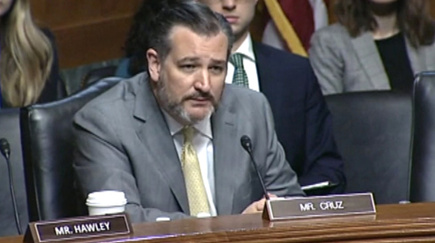 Sen. Ted Cruz challenges Democrats' position on babies who survive abortions