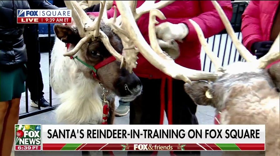 Santa’s reindeer stop by FOX Square on Christmas Eve