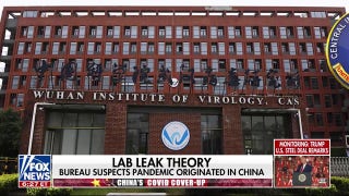 FBI reinvigorates probe into origins of COVID pandemic - Fox News