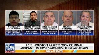 ICE arrests more than 200 illegal migrants charged with child sex offenses