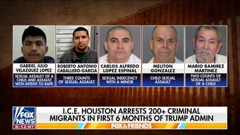 ICE arrests more than 200 illegal migrants charged with child sex offenses
