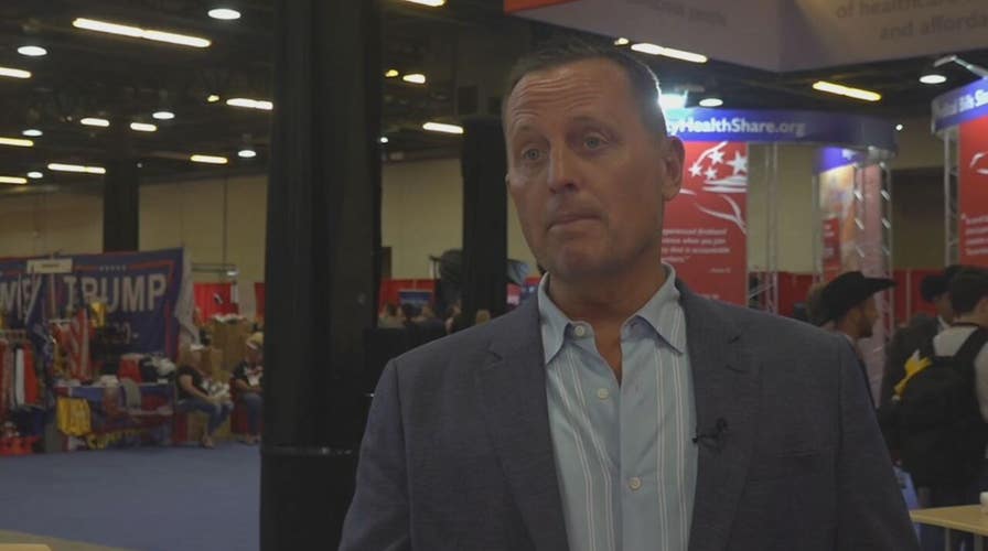 Ric Grenell says his group Fix California plans to 'sue every single' county in California to clean voter rolls