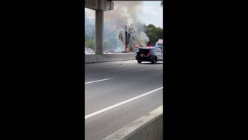 Firefighters battle blaze near site of small plane crash in Florida