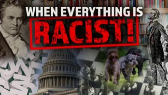 Ingraham: Left's 'race-obsessed approach to daily life is vindictive and counterproductive'