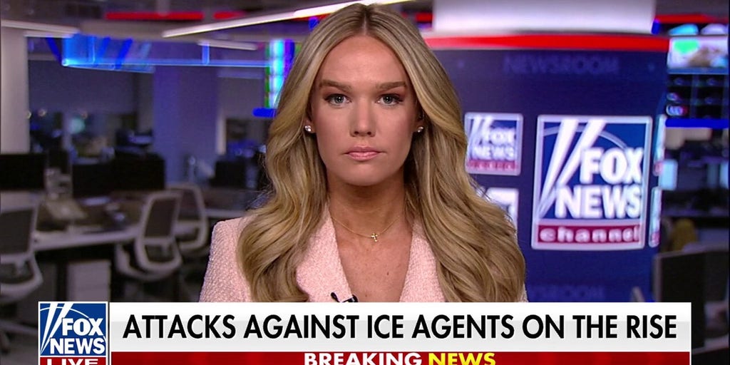 Law enforcement are being spit on and vehicles are being rammed, DHS official reports