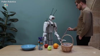 Can this $70,000 robot transform AI research