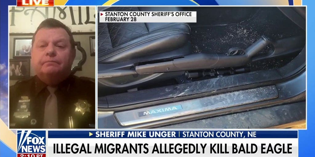 Illegal migrants accused of shooting bald eagle: Nebraska sheriff says community in 'uproar' - Vimarsana News