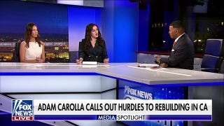 California Democrat calls for Schumer to step down - Fox News