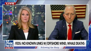 Billionaires are going to make 'a lot of money' on offshore wind projects: Rep. Jeff Van Drew - Fox News