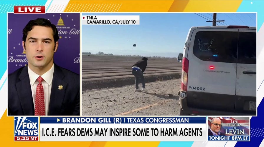 GOP lawmaker hits back at Dems' 'disgusting' ICE resistance