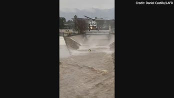 Los Angeles Fire Department rescues man, dog from Los Angeles River