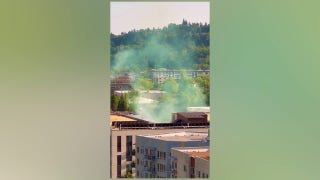 Green smoke seen near ICE facility in Portland