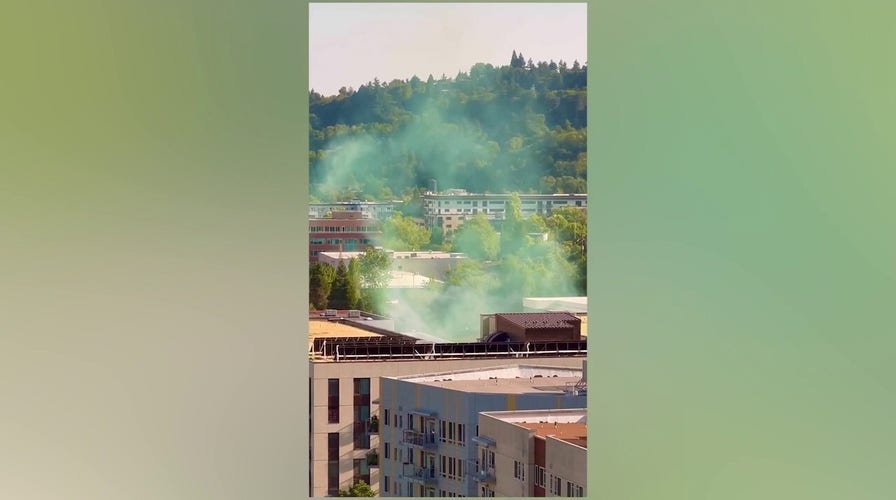Green smoke seen near ICE facility in Portland