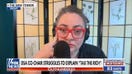 DSA co-chair struggles to explain millionaire tax policy
