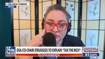 DSA co-chair struggles to explain millionaire tax policy