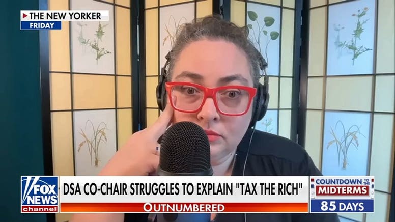 DSA co-chair struggles to explain millionaire tax policy