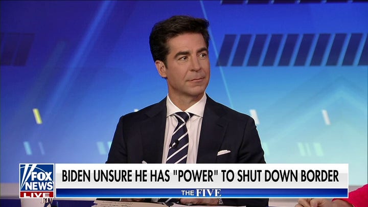 The Trump 'end democracy' talking point only exists on MSNBC: Jesse Watters