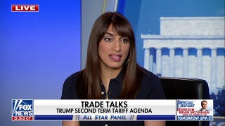 Trump's tariffs are a tax on Americans, former Biden official says