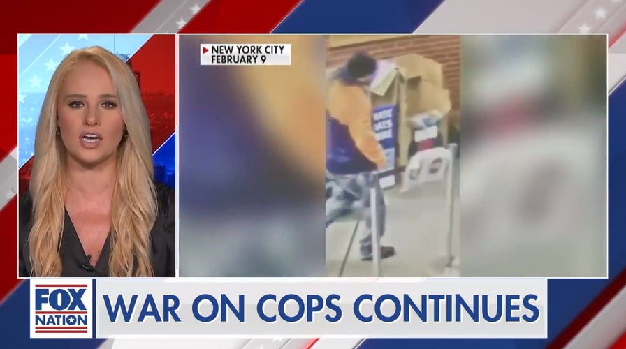 Tomi Lahren: There is a war on cops, decency and law-abiding Americans