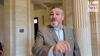 Ted Cruz mocks Democrats for advocating on behalf of illegal wife beating immigrant: ‘Crazy town’
