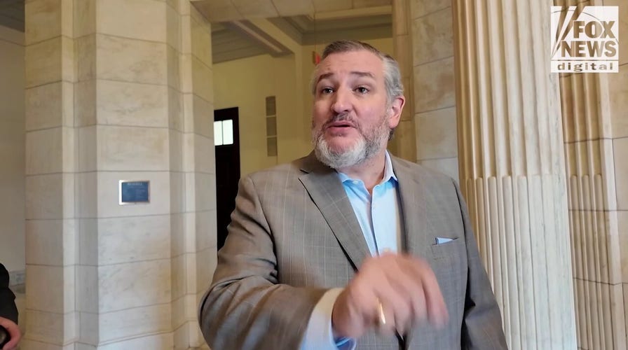 Ted Cruz mocks Democrats for advocating on behalf of illegal wife-beating immigrant: ‘Crazy town’