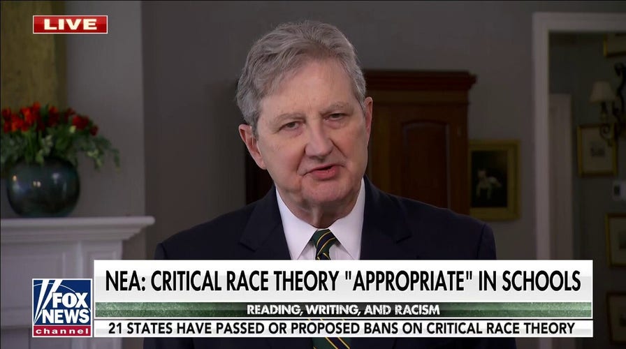  Sen. Kennedy: 'Critical race theory is as dumb as a bag of hair'
