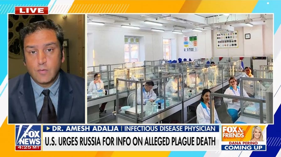 Experts demand 'clarity' amid reports of a second suspected plague death in Russia