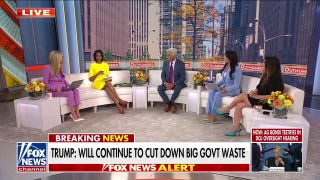 Kayleigh McEnany: Democrats are giving Trump Doge 2.0 'on a platter' - Fox News