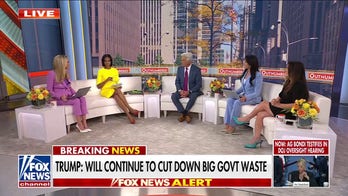 Kayleigh McEnany: Democrats are giving Trump Doge 2.0 'on a platter'